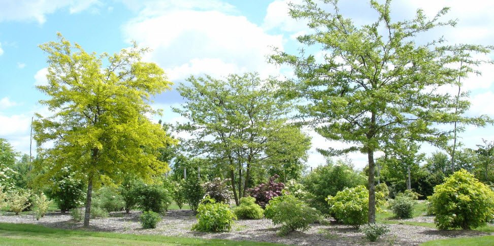 Arboretum de la Petite Loiterie, , France